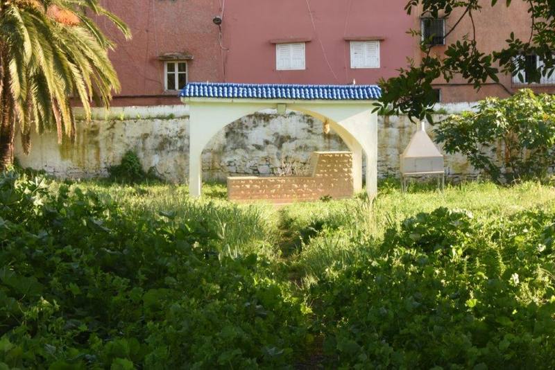maroc sale cimetiere juif tombe franco ZBL 9732 (3)